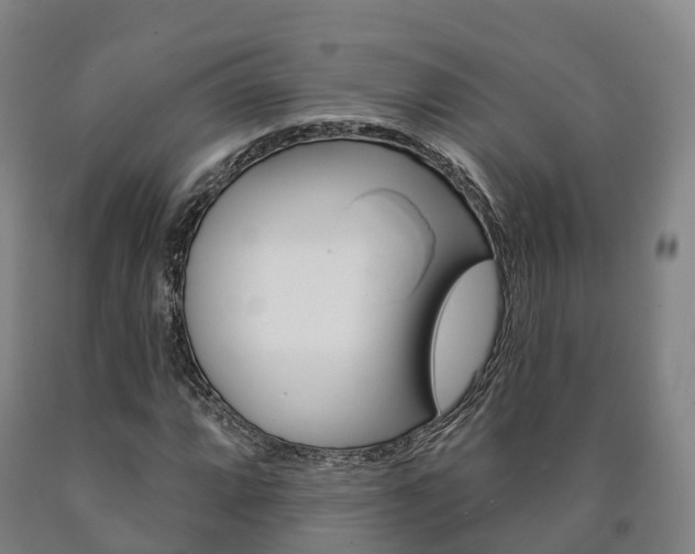 X0000090911064200707301028