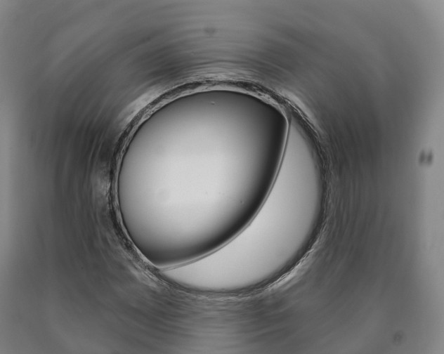X0000090911065200707301028