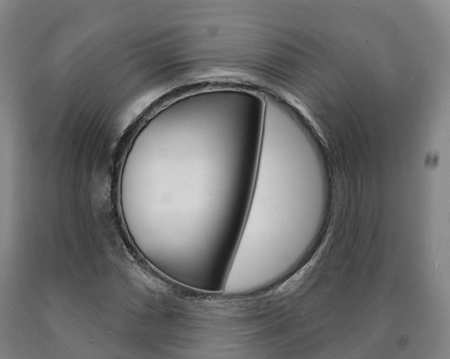 X0000090911066200707301028