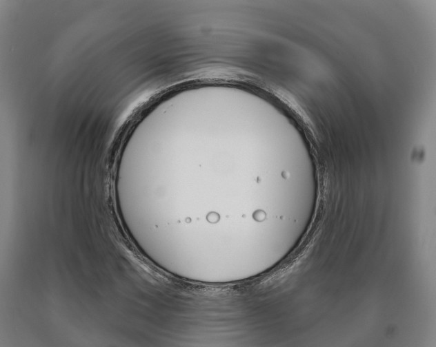 X0000090911067200707301028