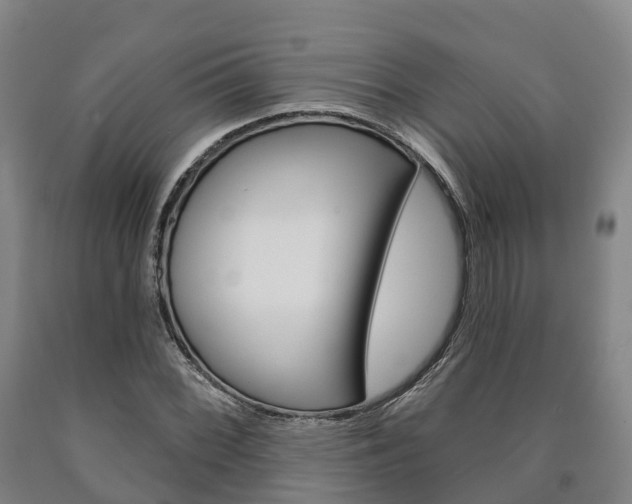 X0000090911068200707301028