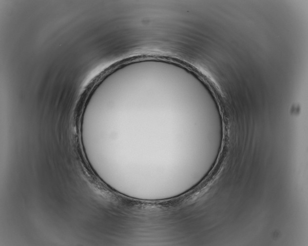 X0000090911070200707301028