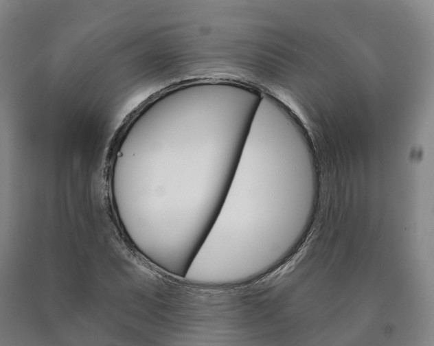 X0000090911071200707301028