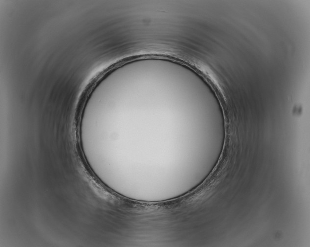 X0000090911072200707301028