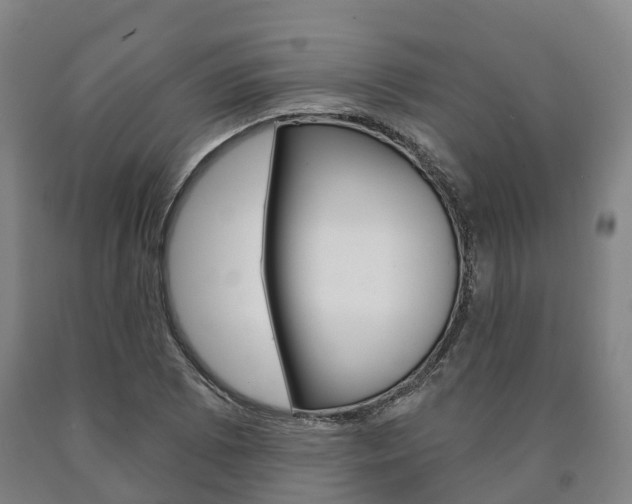 X0000090911073200707301028