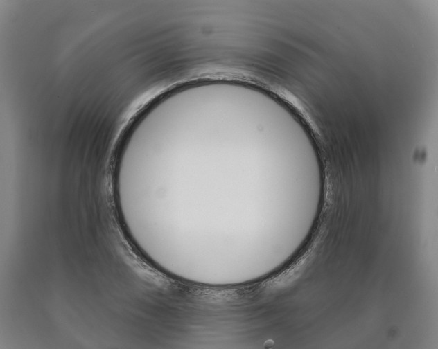 X0000090911074200707301028