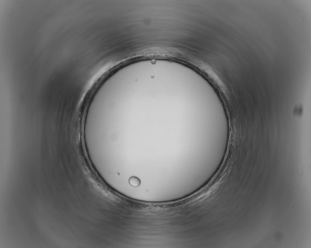 X0000090911075200707301028