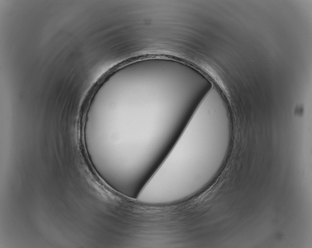 X0000090911076200707301028