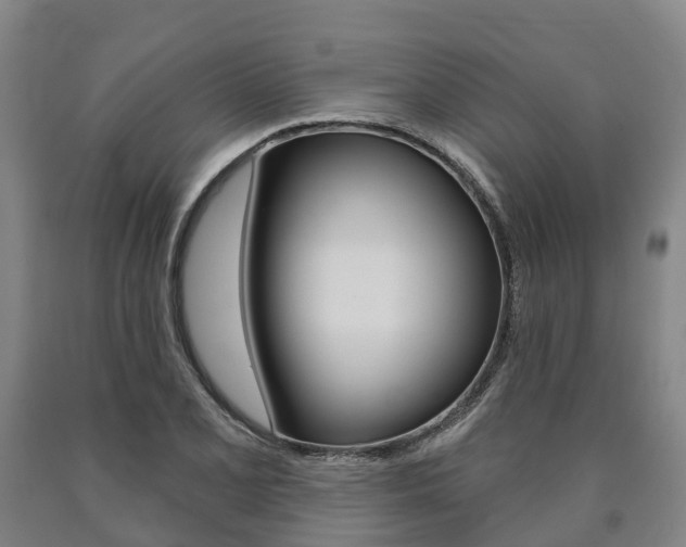 X0000090911077200707301028