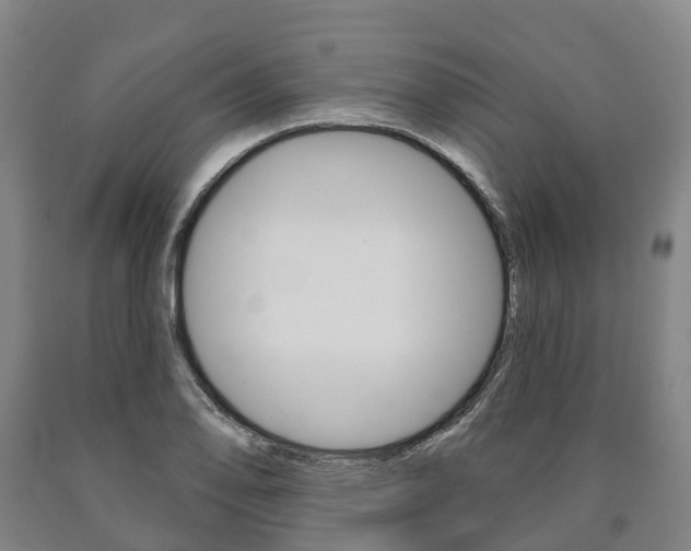X0000090911078200707301028