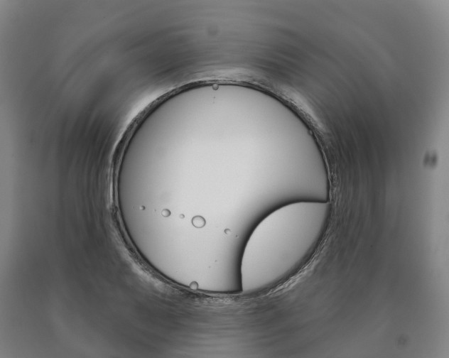X0000090911079200707301028