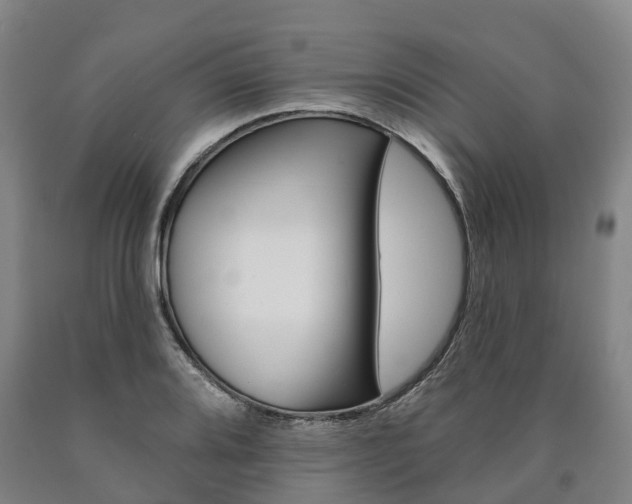 X0000090911080200707301028
