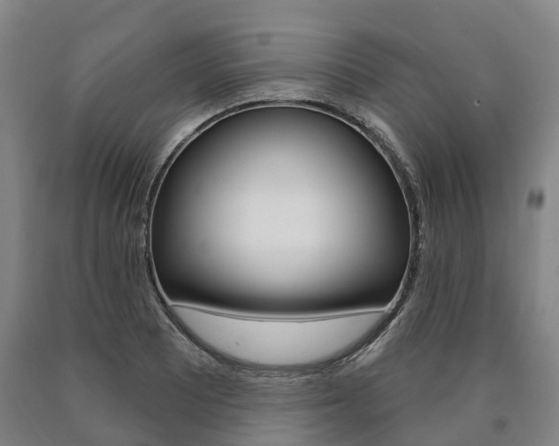 X0000090911081200707301028