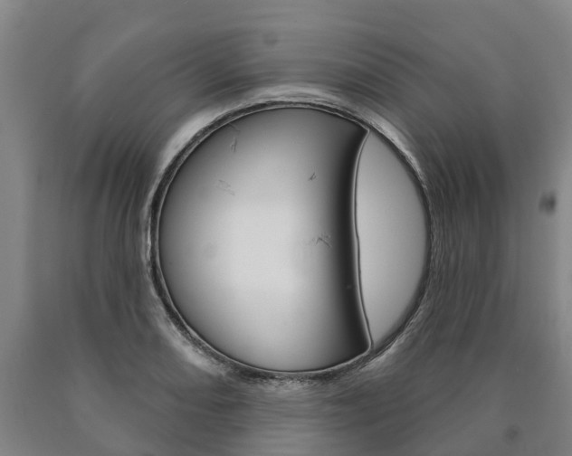X0000090911082200707301028