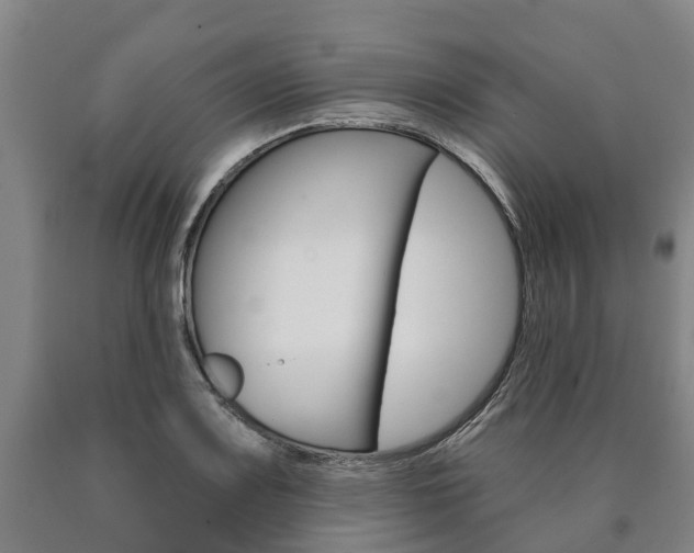 X0000090911083200707301028