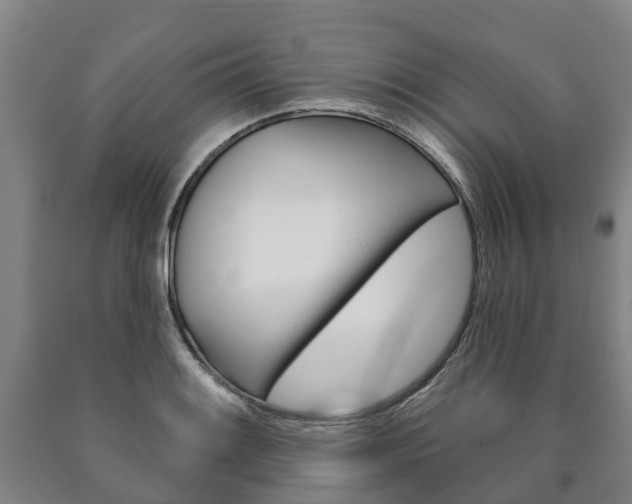 X0000090911084200707301028