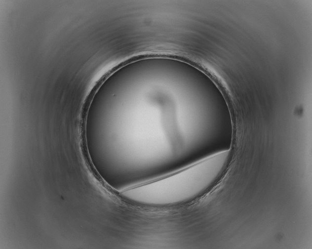 X0000090911085200707301028