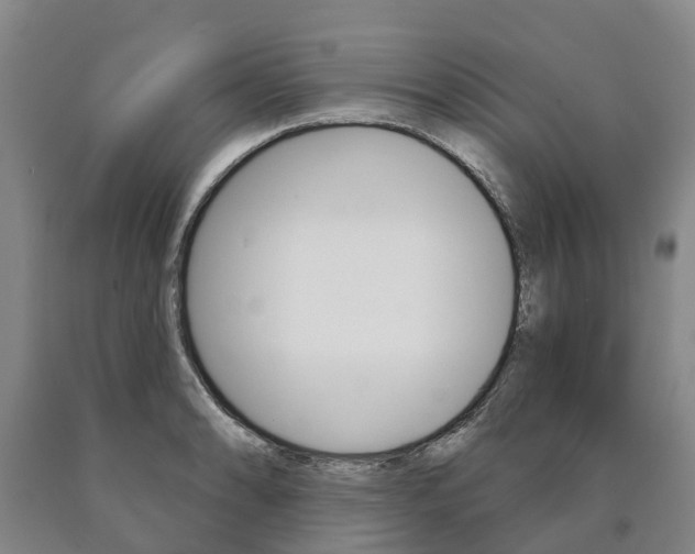 X0000090911086200707301028