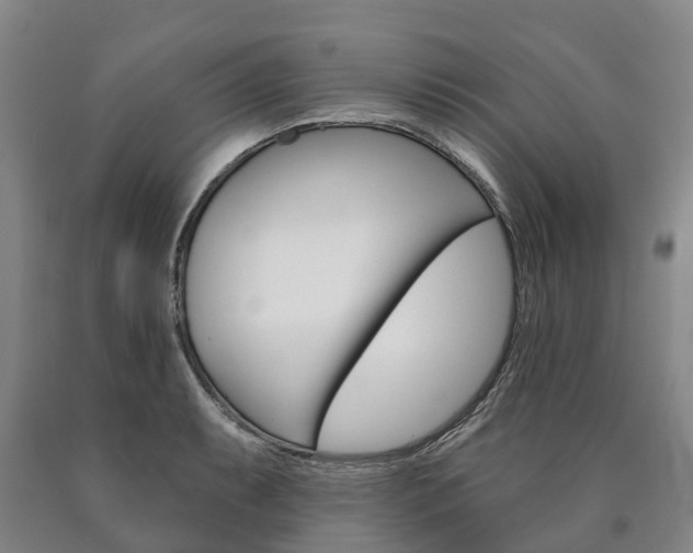 X0000090911087200707301028