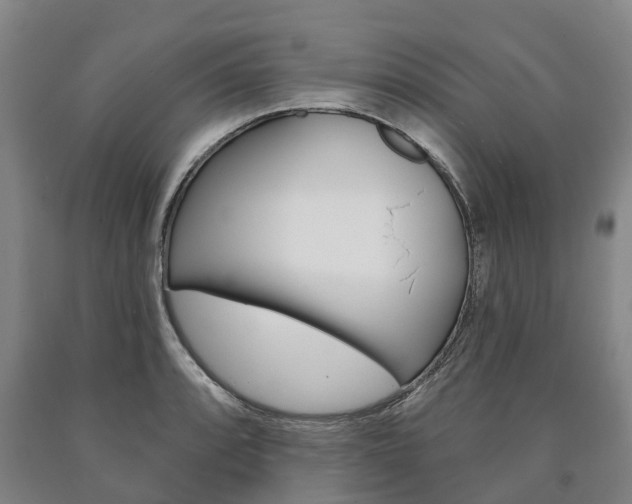 X0000090911088200707301028