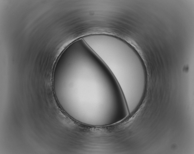 X0000090911089200707301028