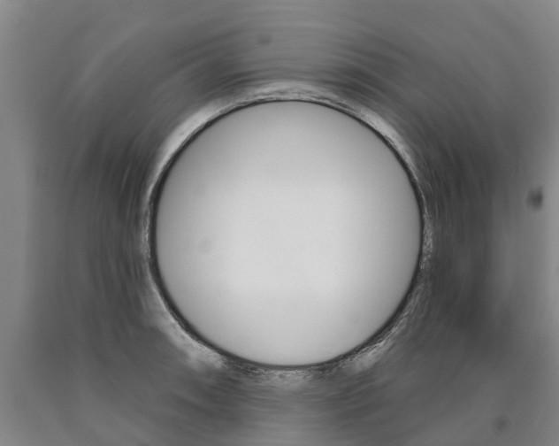 X0000090911090200707301028