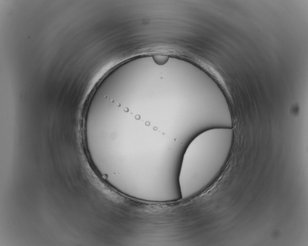 X0000090911091200707301028
