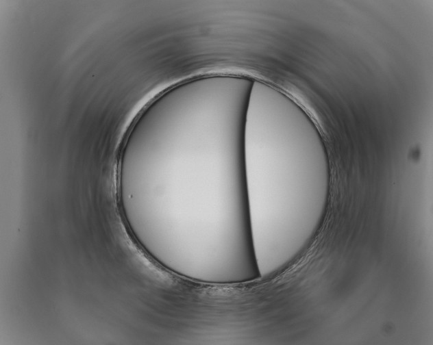 X0000090911092200707301027