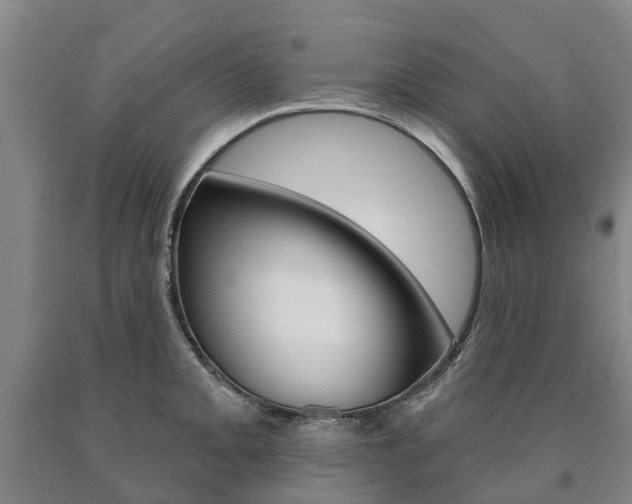 X0000090911093200707301027