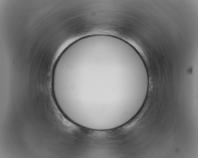 X0000090911094200707301027
