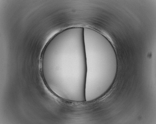 X0000090911095200707301027