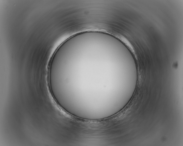 X0000090911096200707301027