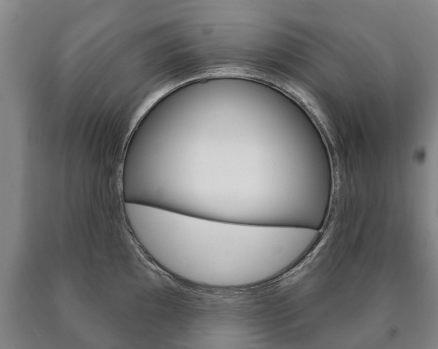 X0000090911097200707301027