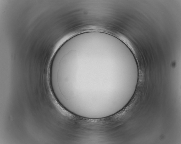 X0000090911098200707301027
