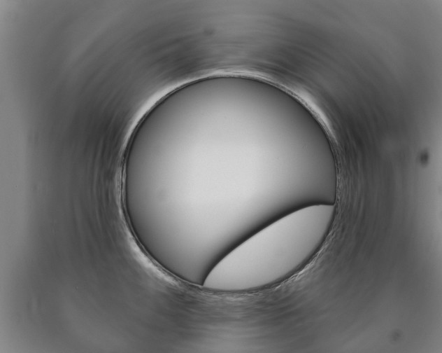 X0000090911100200707301027