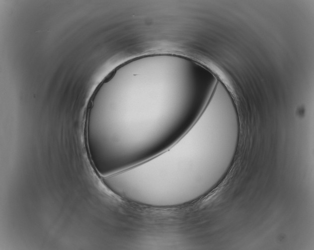 X0000090911102200707301027