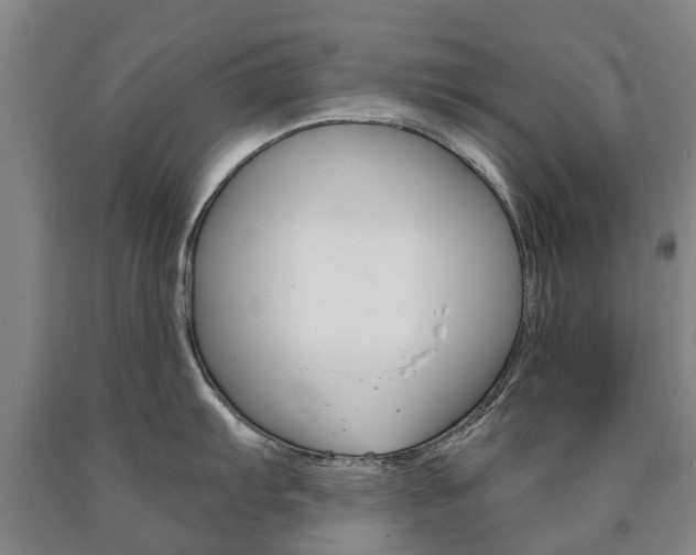 X0000090911103200707301027