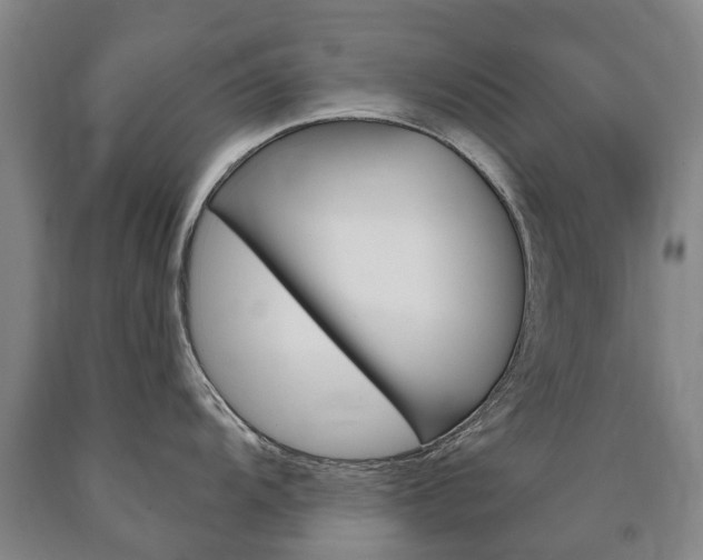 X0000090911104200707301027