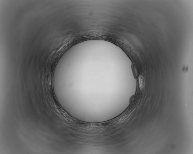 X0000090911107200707301027