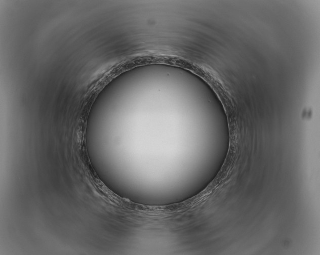 X0000090911110200707301027