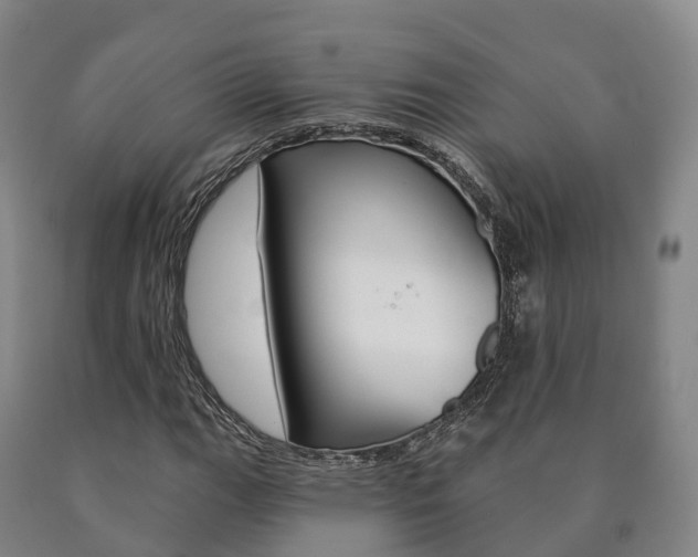 X0000090911111200707301027