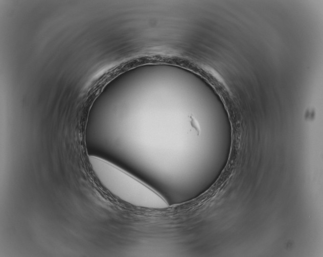 X0000090911112200707301027