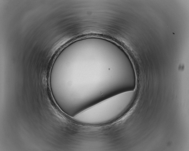 X0000090911113200707301027