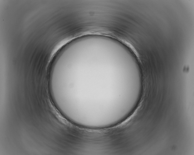 X0000090911114200707301027