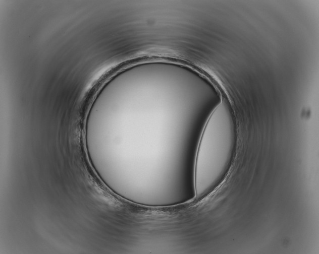 X0000090911115200707301027