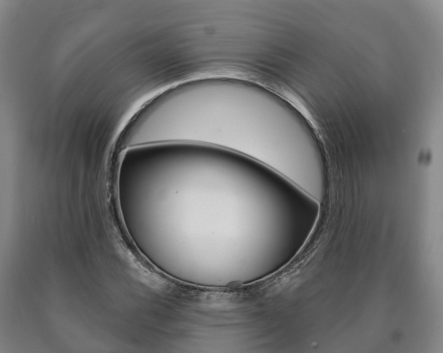 X0000090911116200707301027