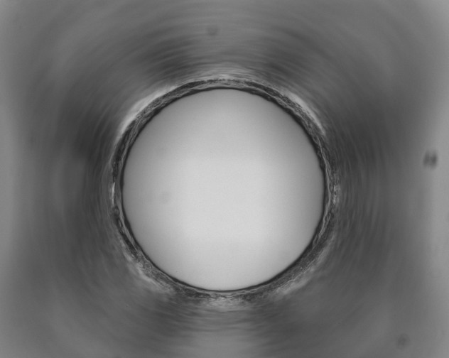X0000090911117200707301027