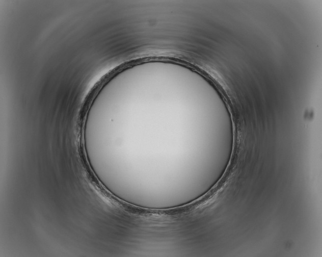 X0000090911119200707301027