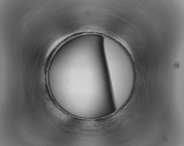 X0000090911120200707301027