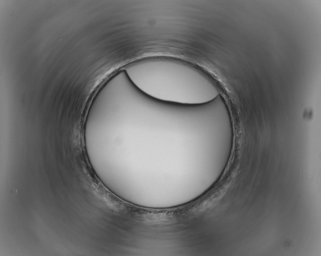 X0000090911121200707301027